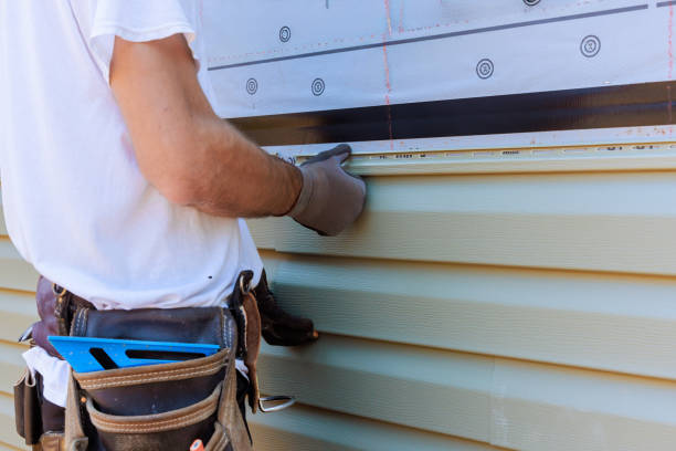 Best Custom Trim and Detailing for Siding  in Hudson, MI